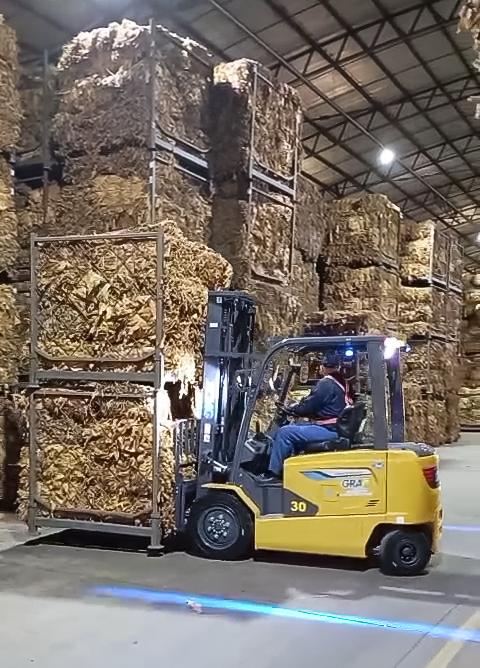 时博SHIBO(中国)鲲鹏电动叉车：烟草运输的安全高效新选择